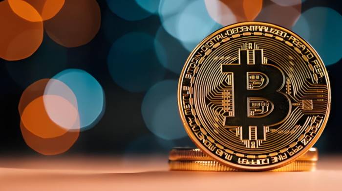 Bitcoin Price Drops, Risk Hedging in Focus